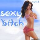 <b>Название: </b>Sexy Bitch vol.12 (2010), <b>Добавил:<b> Sailler<br>