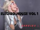 <b>Название: </b>Samelex Electro-House Vol.1(2010), <b>Добавил:<b> Sailler<br>